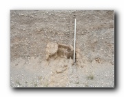 Click to enlarge this image